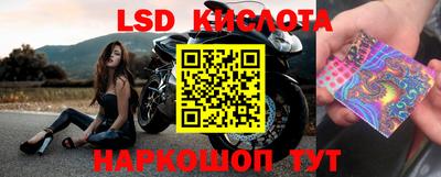 ГАЛЛЮЦИНОГЕННЫЕ ГРИБЫ Будённовск