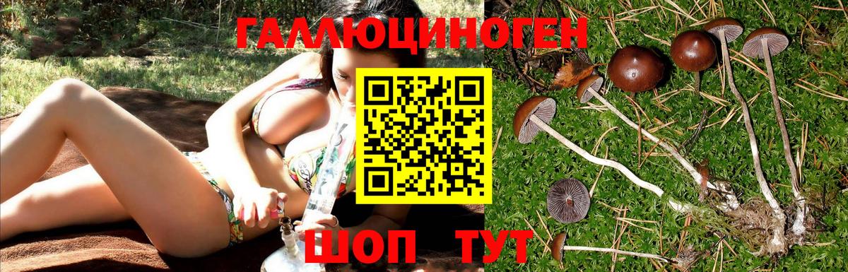 Псилоцибиновые грибы мицелий Узловая